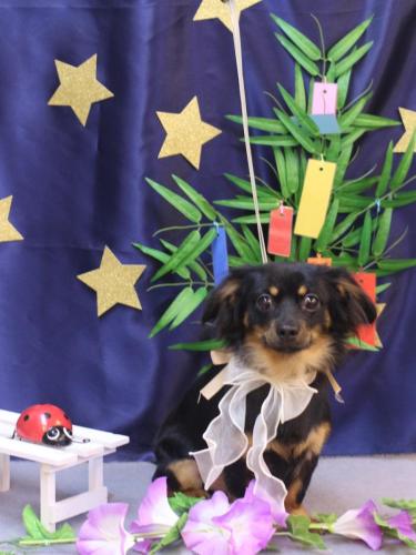 20230717のあくん